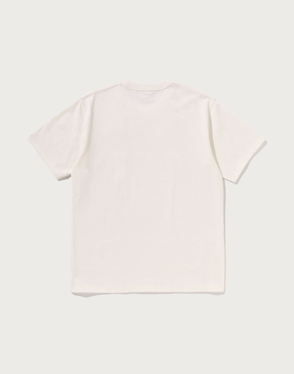 PAISLEY PATTERN BY BATHING APE TEE MENS