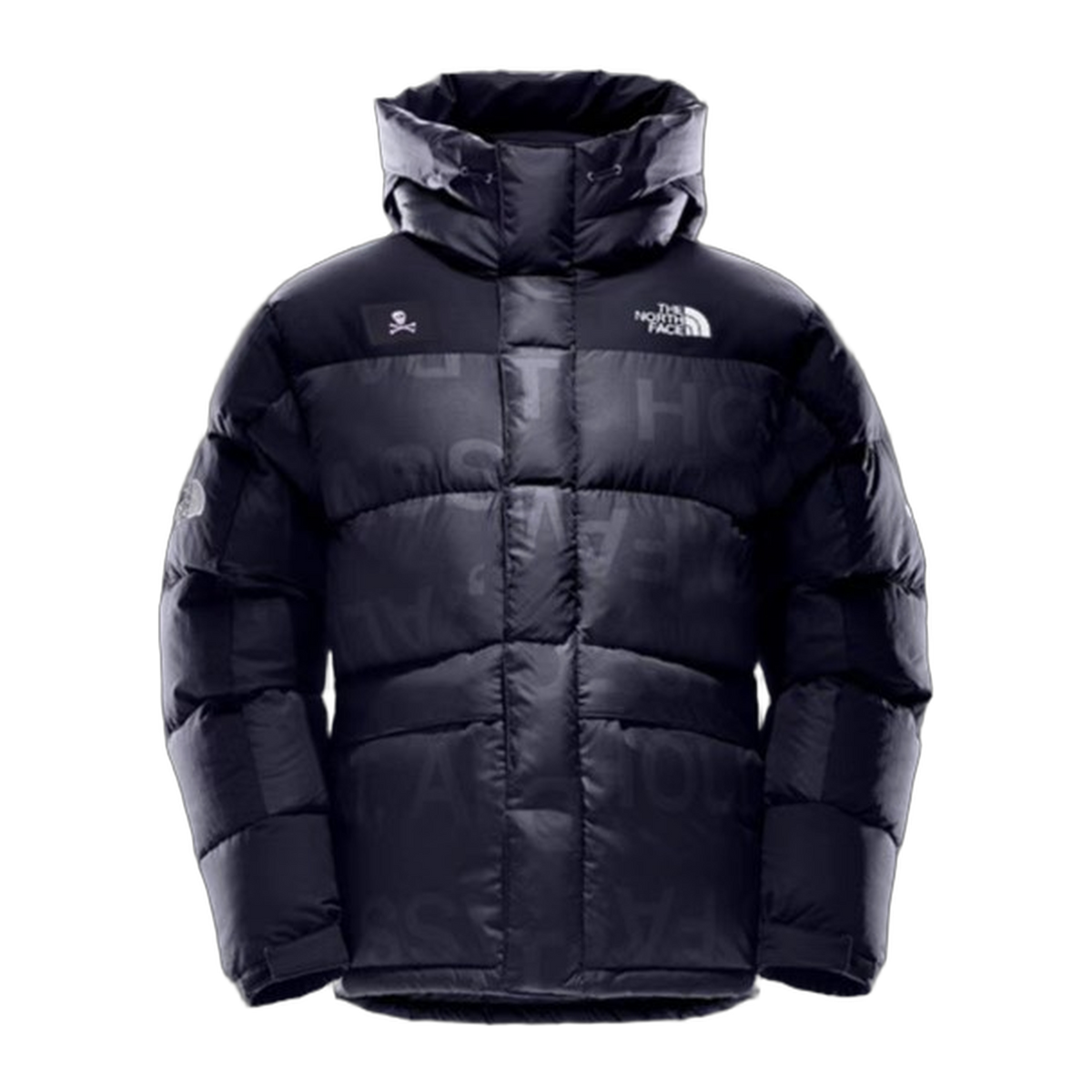 The North Face UE Special Series Down Parka (Style 5J27)