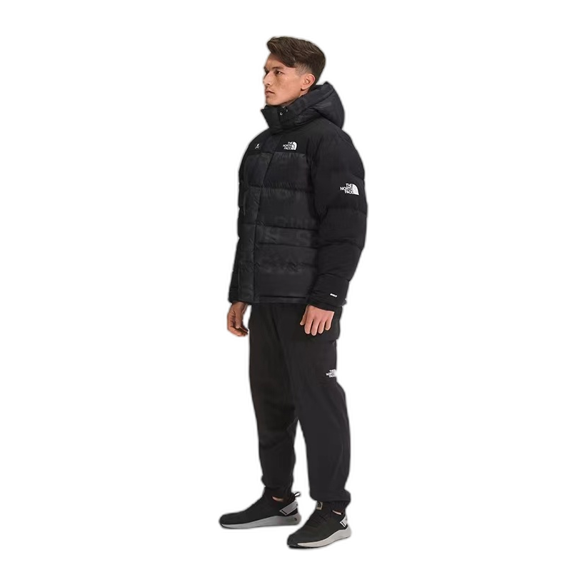 The North Face Urban Exploration Down Parka – 380-Fill | Style 5J27